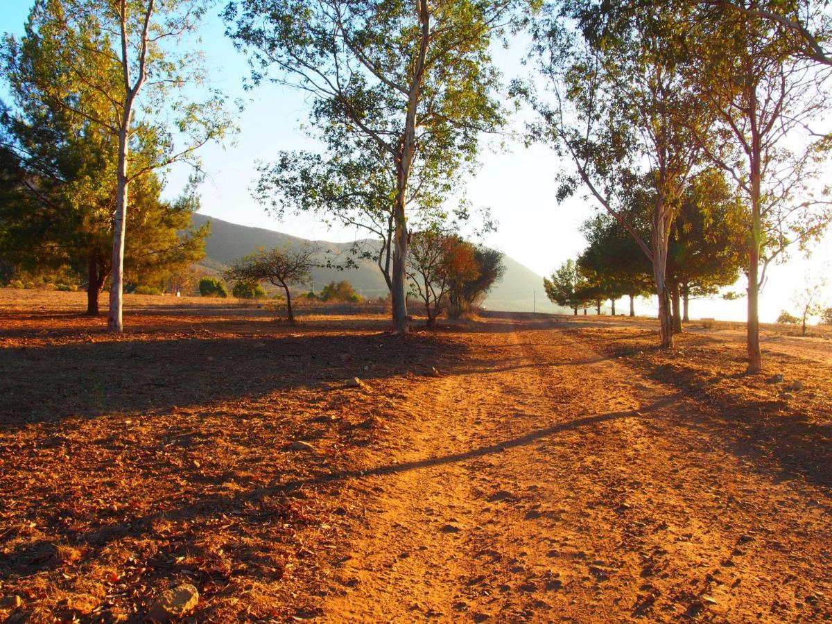 Casa Mayoral B&B Pet Friendly Valle de Guadalupe Exterior photo