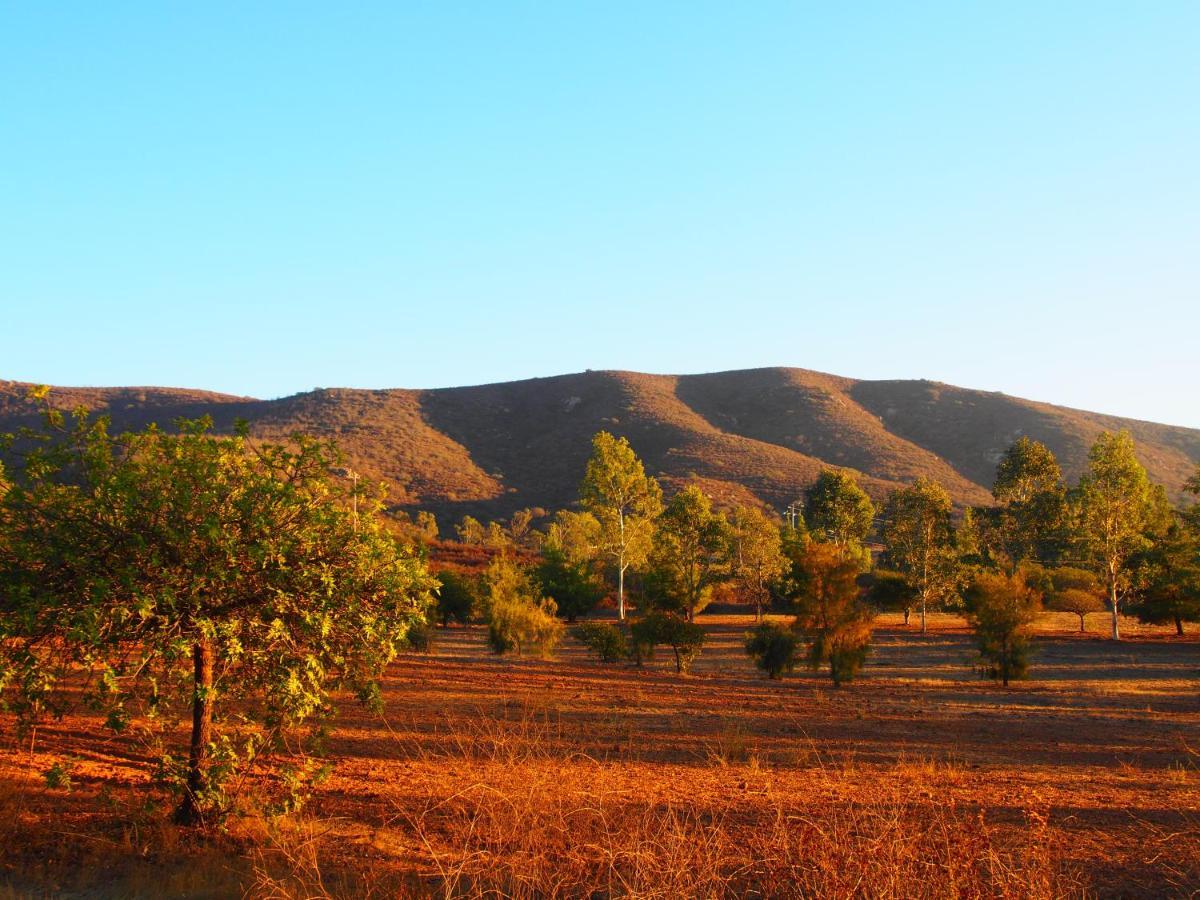 Casa Mayoral B&B Pet Friendly Valle de Guadalupe Exterior photo