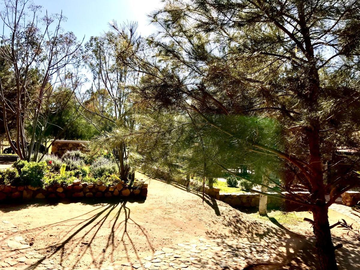 Casa Mayoral B&B Pet Friendly Valle de Guadalupe Exterior photo